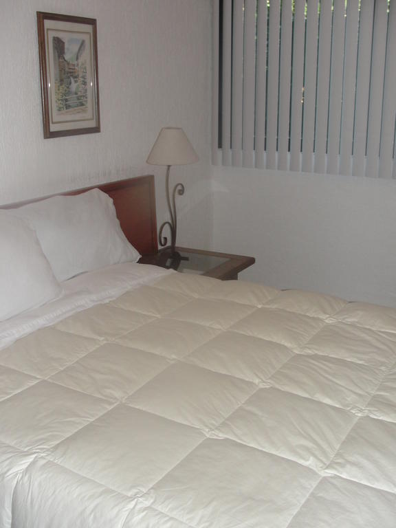 Steinhaus Suites Homero Mexico City Luaran gambar